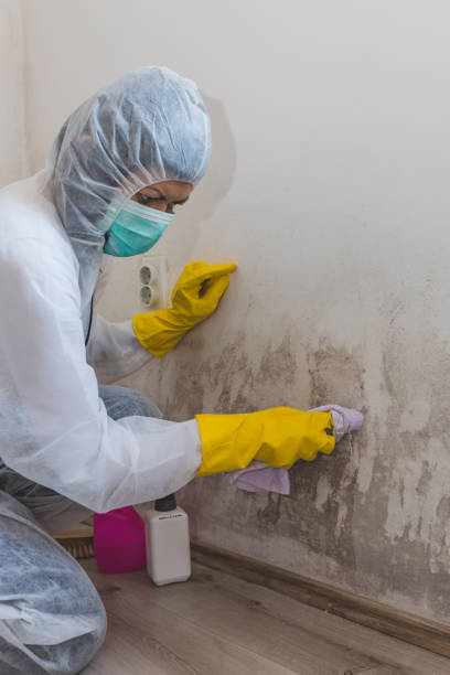 Mold Remediation for Rental Properties in Lagrange, GA