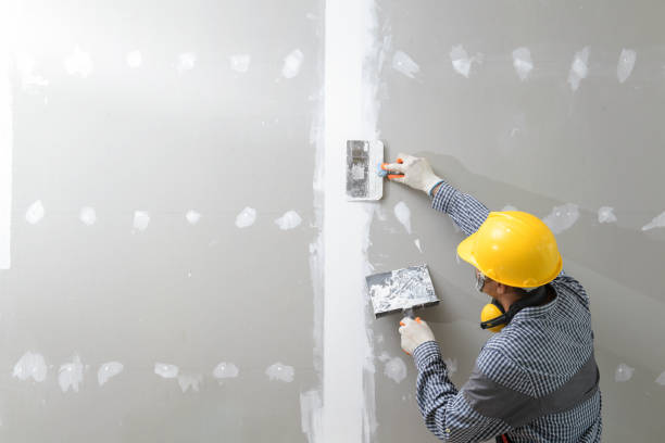 Best Mold Removal for HVAC Installations  in Lagrange, GA