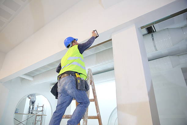 Best Mold Damage Restoration  in Lagrange, GA